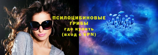 соль ск Балахна